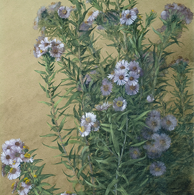 Image 04