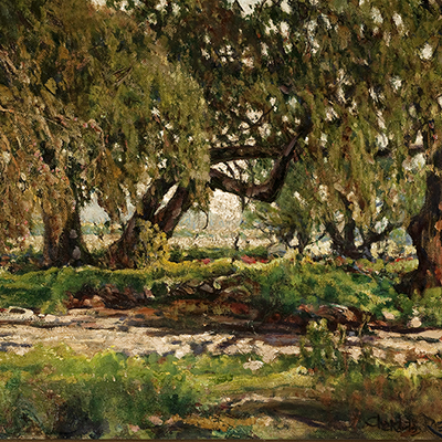 Image 12