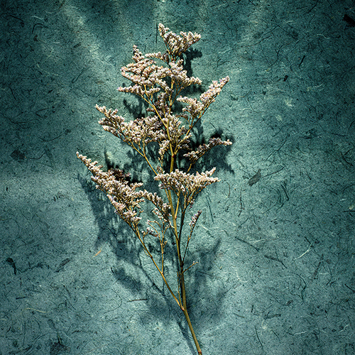 Image 13